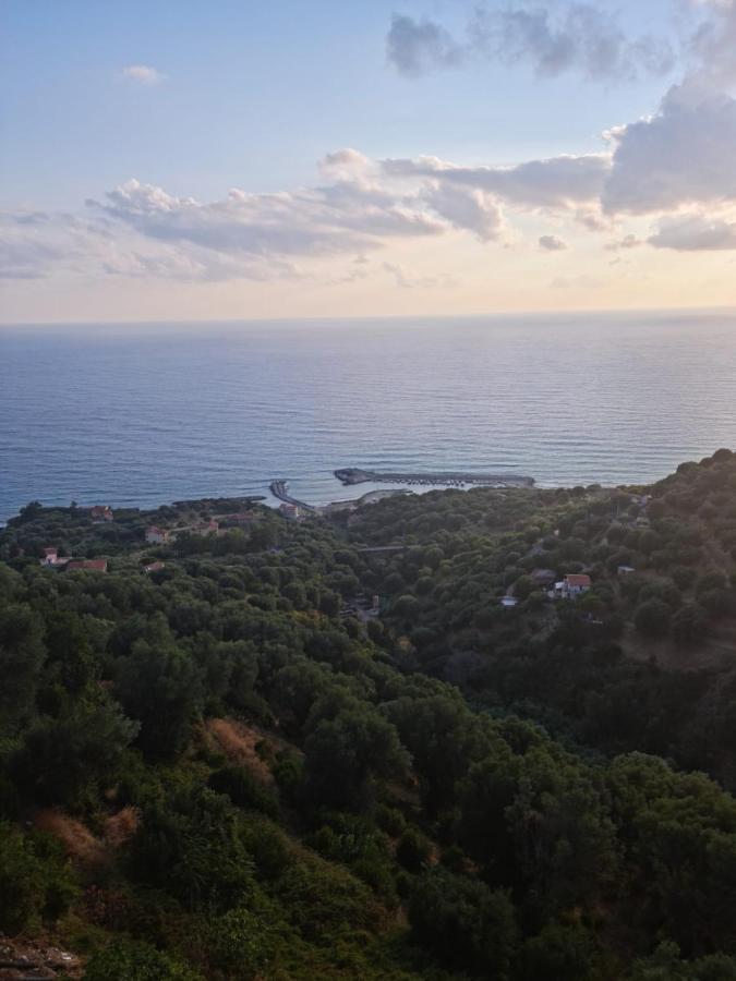 Casa Del Gelso Villa Pisciotta Exterior foto